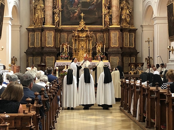 Jubelprofess der Marienschwestern / © Barbara Eckerstorfer Jubelprofess der Marienschwestern