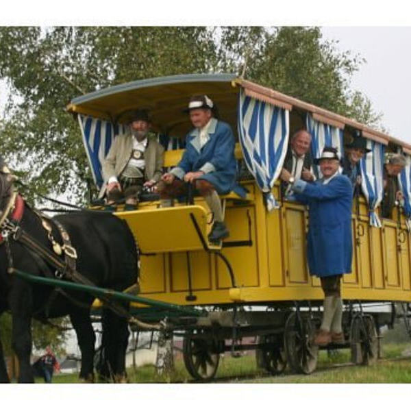 Kerschbaum im Mühlviertel