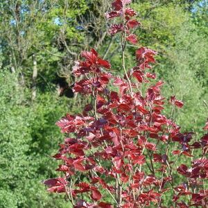 meditative Pilgerwanderung 