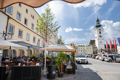 Nadace Partnerství, Vojta Herout