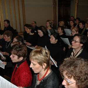 Rom - Christbaum für Papst