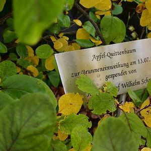 Pfarrausflug St. Qurinus