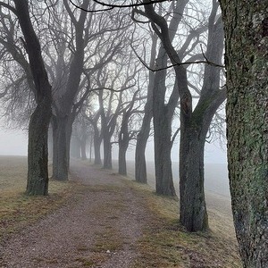 An einem nebeligen Morgen ...