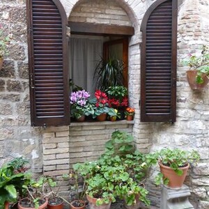 Pilgerfahrt nach Assisi vom 17. - 21. Februar 2014