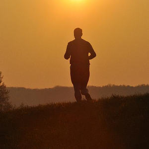 Emmausgang in den Ebelsberger-Traunauen