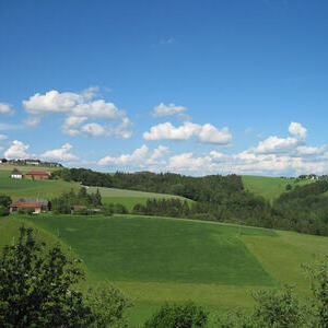  Mühlviertler Landschaft                             
