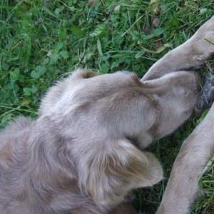 Wallfahrt Maria Bründl