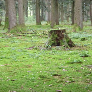 Pilgerwanderung 2022