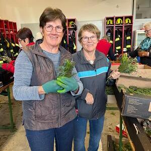 Palmbuschen binden 2025