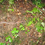 Schulanfängerausflug 