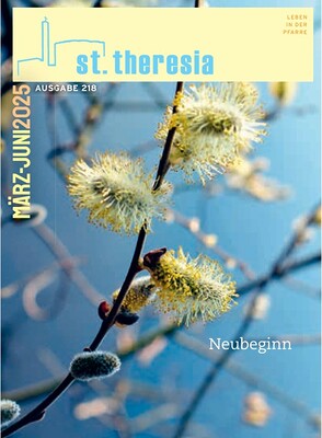 Palmkätzchen am Baum