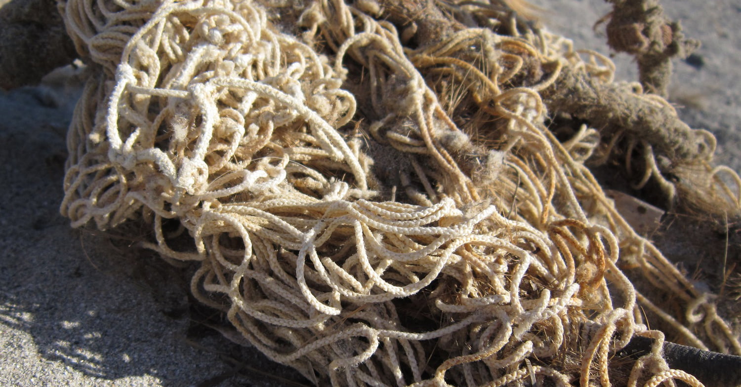 Netz / © ulleo/pixabay.com/CC0 1.0 Netz