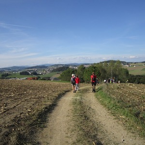 Rohrbach-Berg Wallfahrt