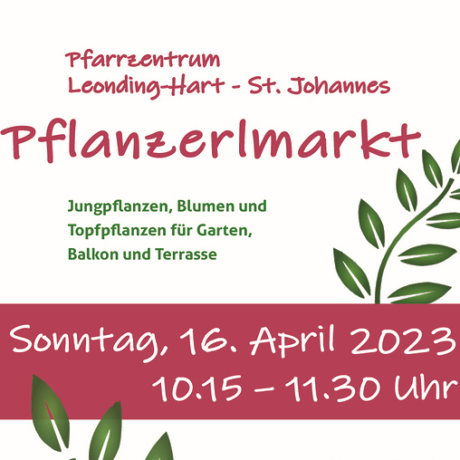 Pflanzerlmarkt 2023