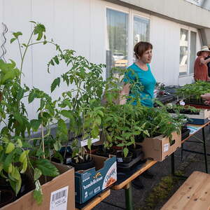 Pflanzenflohmarkkt 2018