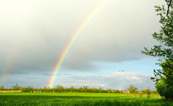 Regenbogen