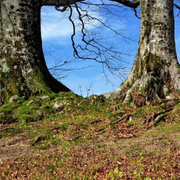 Pfarrgemeinderatswahl 2012 