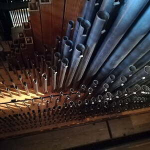 Orgelpfeifen Rückpositiv