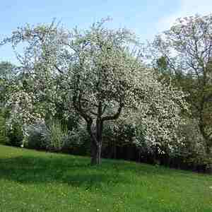 meditative Pilgerwanderung 28.4.18