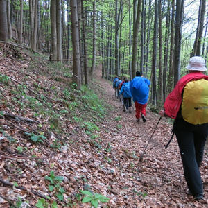 Pilgern Schlierbach-Klaus