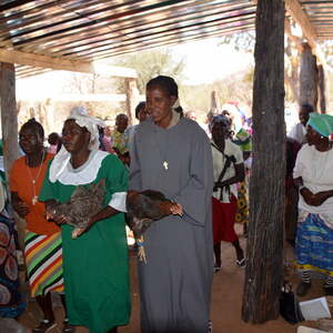 lebende Hühner als Dank an die Patres für den Gottesdienst