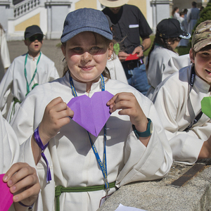 Minis in St. Florian