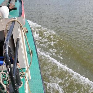 Firmprojekt Hochbeet