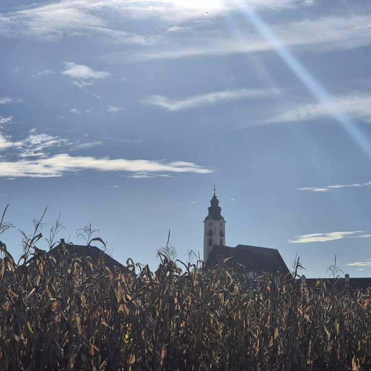 Sonntagsblatt / ©Bild für die Pfarrgemeinde Eferding/Ingrid Neundlinger