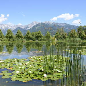 Kirchenchorausflug 2014