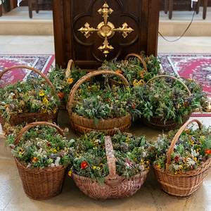 Donnerstag, 15. August 2024