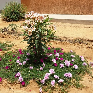 Impressionen aus Senegal