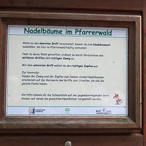 Naturerlebnisweg Pfarrwald Vöcklabruck