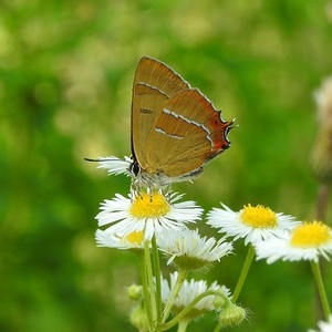 Heidewald Schieferegg - Umweltarbeit in der Diözese Linz
