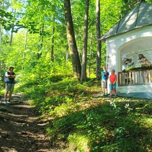 ... über den Kreuzweg auf den Heiligenstein.