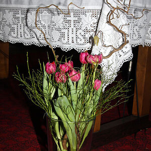 Familienmesse mit Vorstellung der Erstkommunionkinder