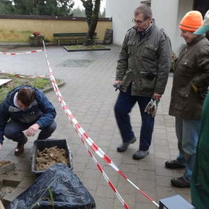 Kirchensanierung - Grünanlage