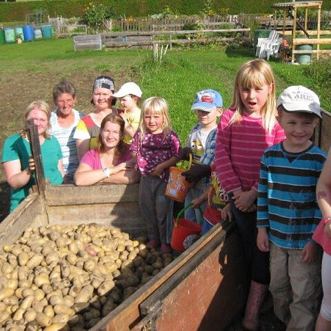 Kartoffelernte im Pfarr-Familiengarten