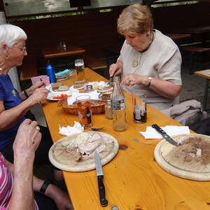 Pfarrausflug Ennshafen