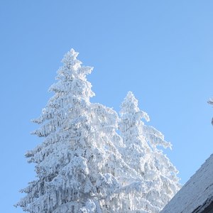 Filialkirche Kolomansberg
