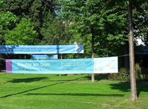 Bäume am Dom. © Urbi@Orbi / Bäume am Dom. © Urbi@Orbi Bäume am Dom. © Urbi@Orbi