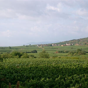 Pfarrwallfahrt Elsass - St. Hippolyte