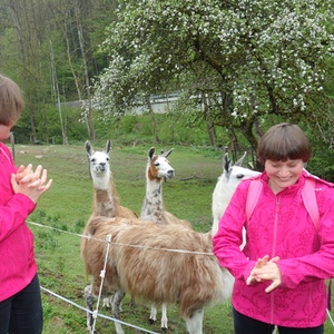 Pilgerwanderung 2019