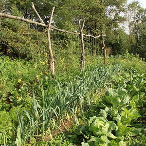 Ausflug der kfb 2014