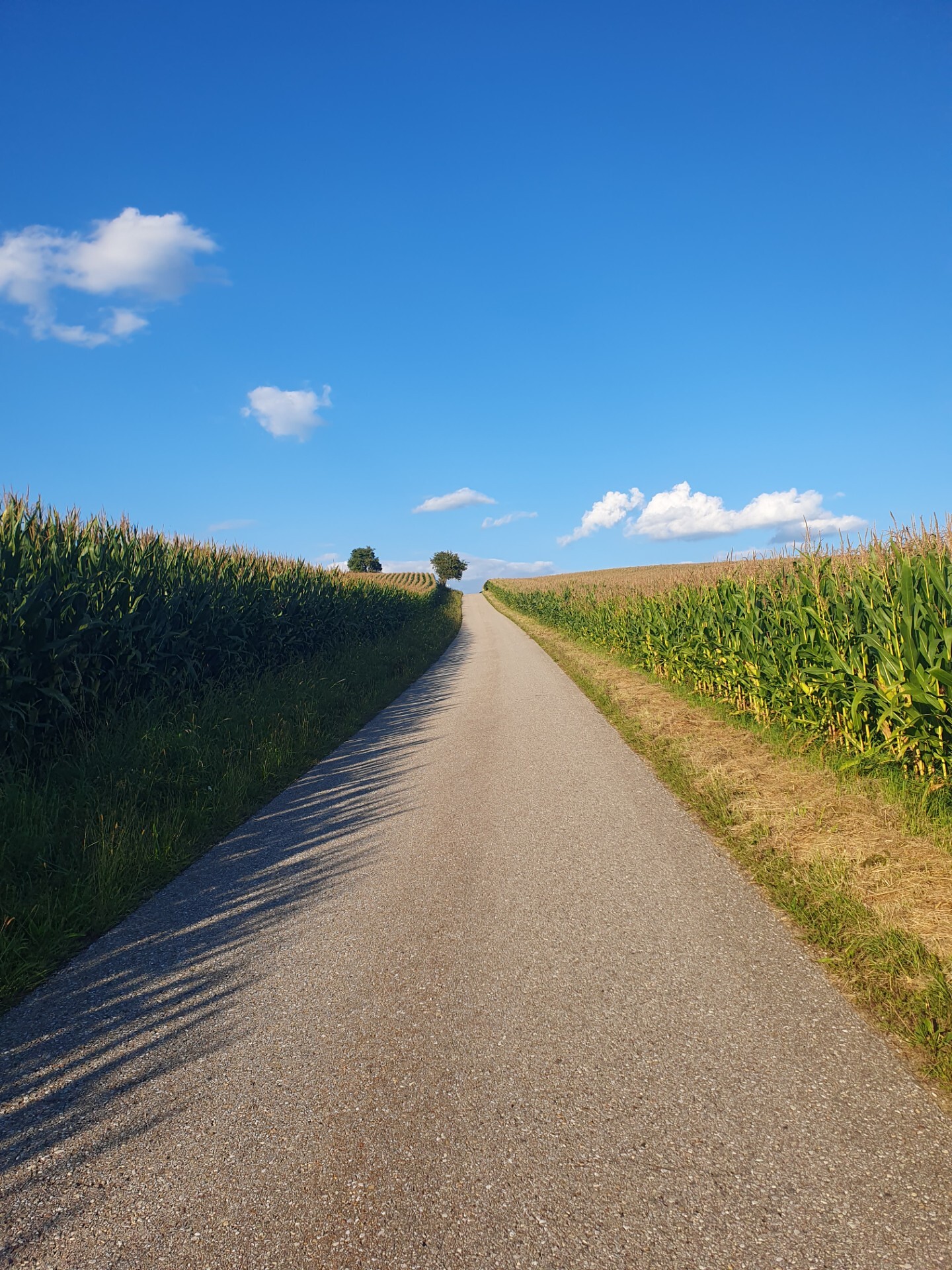 Straße ins Nirgendwo