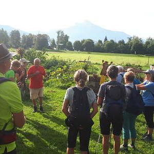 Gemeinschaftsgarten in Mondsee