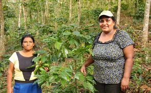 Juana Aydas Villareyna Acuna (r.) zeigt stolz ihre Kaffeepflanzen