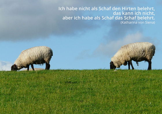 Das Schaf belehren.