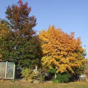 Wallfahrt Maria Bründl