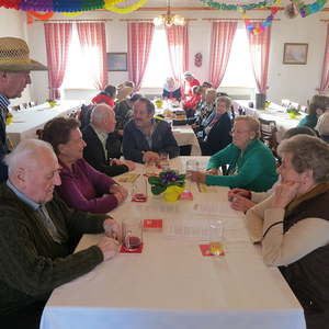 Seniorenfasching 2015