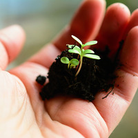 Fachteam Finanzen / © congerdesign/pixabay.com/Pixabay License Fachteam Finanzen